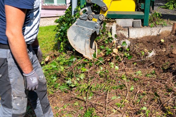 Hedge Removal Service in Westerville