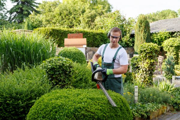 Shrubs Trimming in Westerville