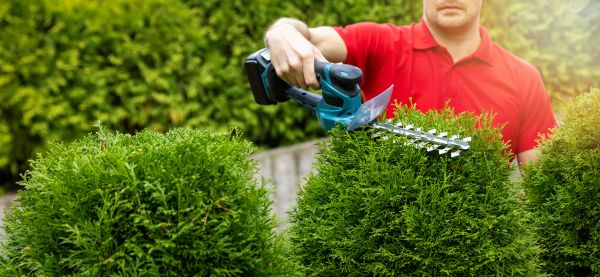 Cost of Hedge Shaping Service in Westerville