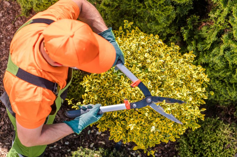 Seasonal Shrub Pruning