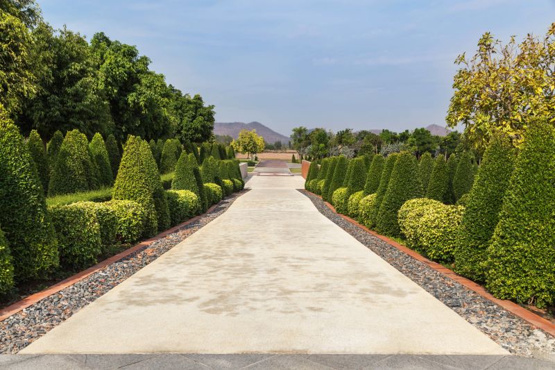 Garden Path Flanked by Shrubs