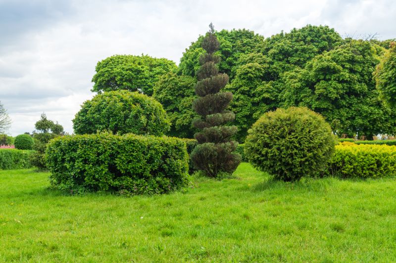 Neatly Trimmed Shrubs