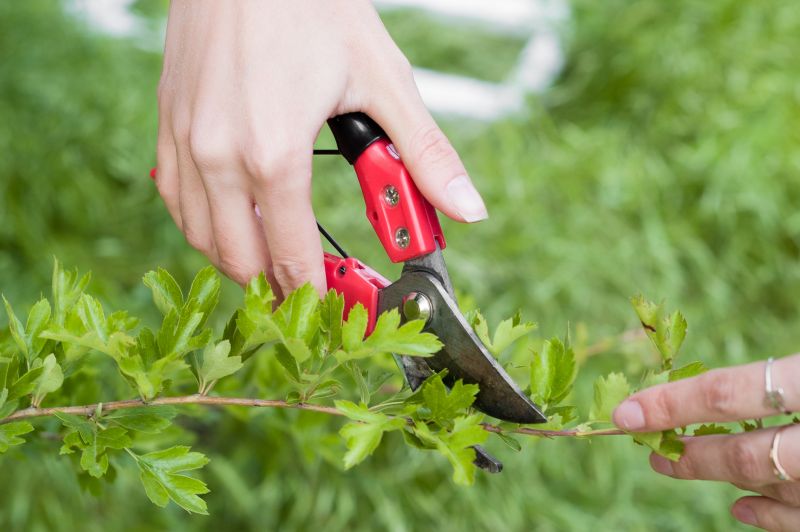 Pruning Tools and Techniques